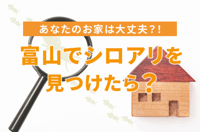 富山でシロアリ