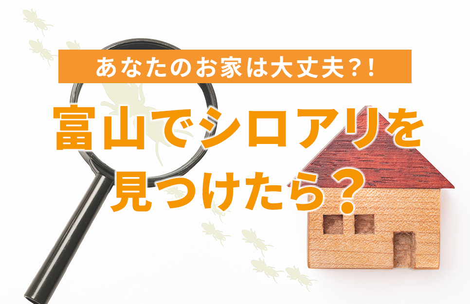 富山でシロアリ