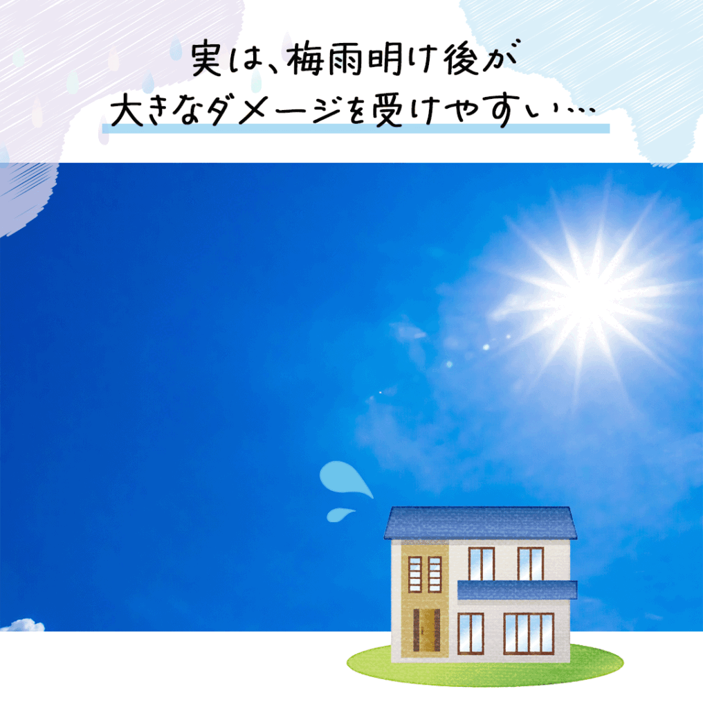 梅雨明けが大きなダージを受けやすい